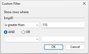 CustomFilter_Browser