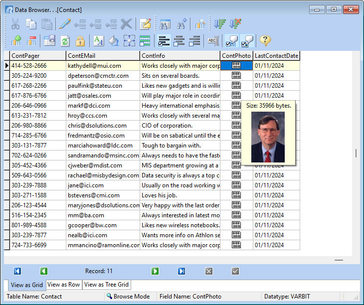 DataBrowser_ImageHint