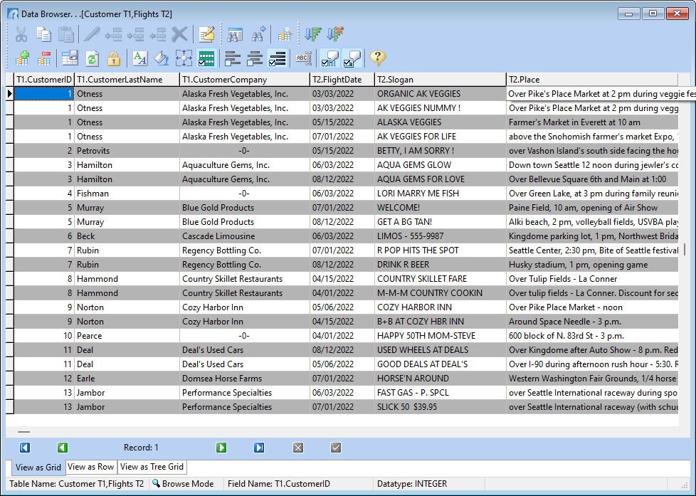 DataBrowser_View